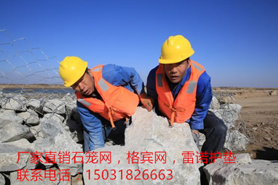 雙隔板雷諾護(hù)墊