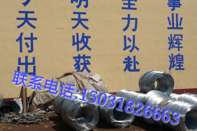 雙隔板雷諾護(hù)墊