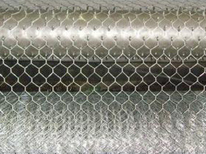 1621356403_1122822527.jpg 1621356403_1122822527.jpg