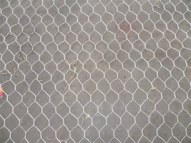 timg2.1.jpg timg2.1.jpg