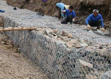 雷諾護墊.jpg 雷諾護墊.jpg