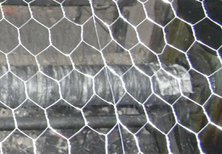 飛鴿截圖20181114170250.png 飛鴿截圖20181114170250.png