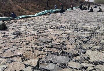 雷諾護(hù)墊.jpg 雷諾護(hù)墊.jpg