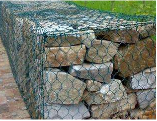 8966888301296572650.png 8966888301296572650.png