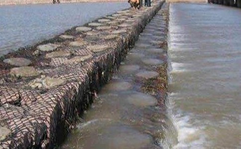 timg (9).jpg timg (9).jpg