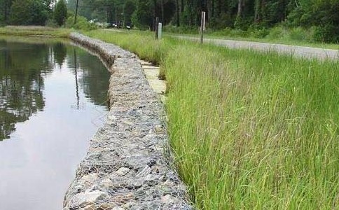 timg (2).jpg timg (2).jpg