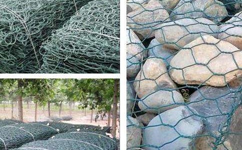 timg (1).jpg timg (1).jpg