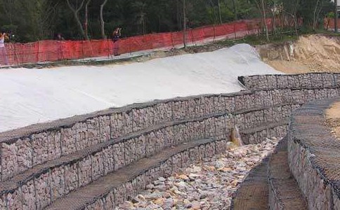 timg (8).jpg timg (8).jpg